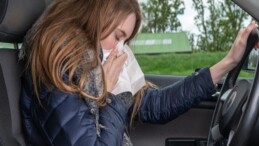 Alerjik nezlesi olan şoförlerin dikkatine