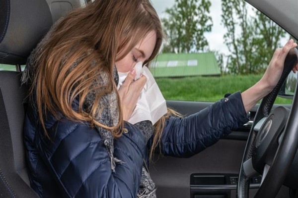 Alerjik nezlesi olan şoförlerin dikkatine
