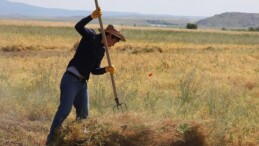 Çiftçilere müjde: Alım ve fiyat garantili sistem yolda