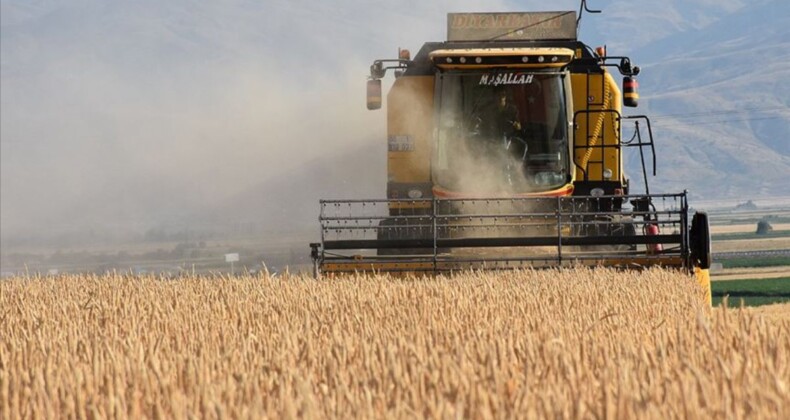 e-Devlet tarımsal destek ödemesi sorgula 2022: Çiftçiye tarımsal destek ödemesi yattı mı?