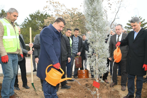 Hemşehri dernekleri Orduzu Pınarbaşı’nda ağaç dikti