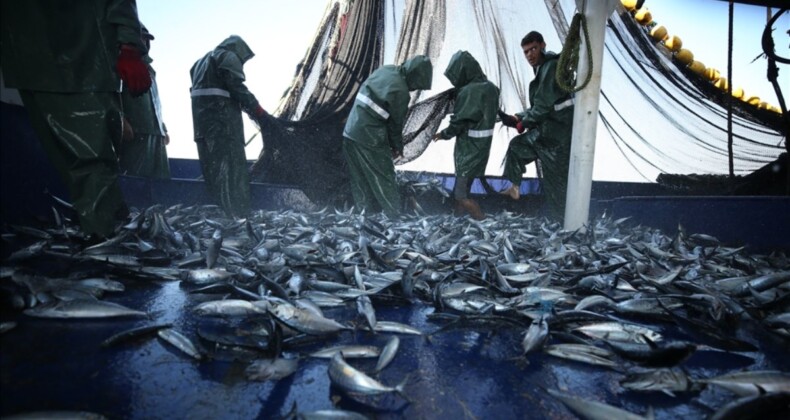 Karadeniz sularında balık tutmak yasaklandı