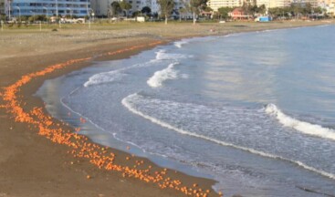 Mersin’de portakallar sahile vurdu