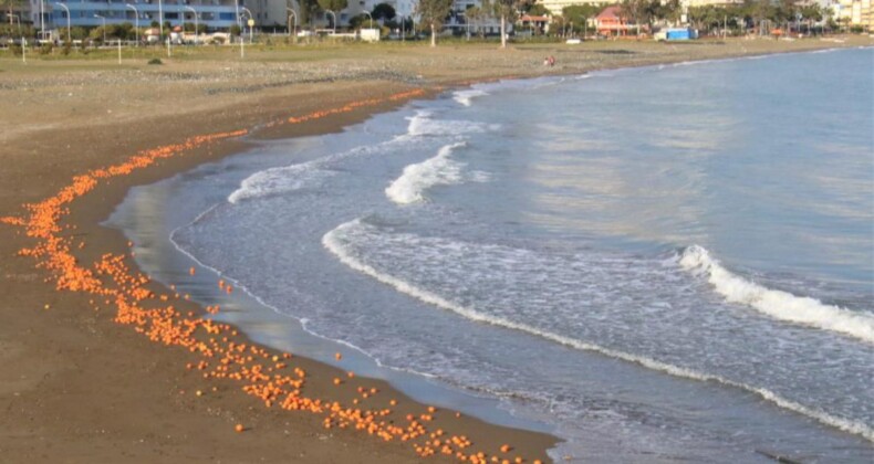 Mersin’de portakallar sahile vurdu