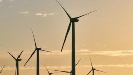 Moody’s ESG Solutions Galata Wind Enerji’nin sürdürülebilirlik notunu yükseltti