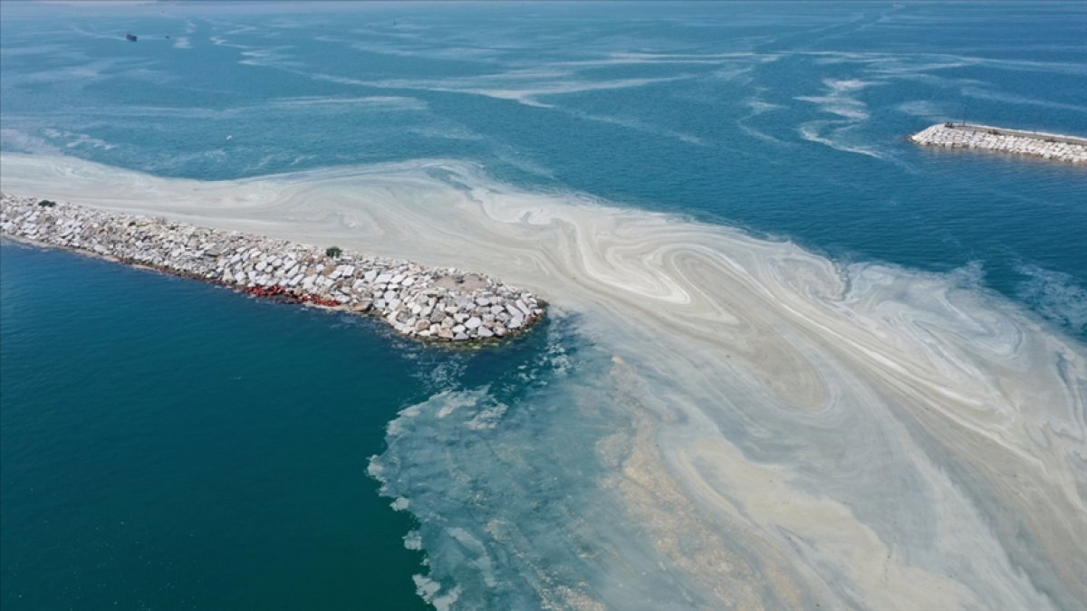 Araştırma Komisyonu’ndan TBMM’ye müsilaja karşı 157 çözüm önerisi