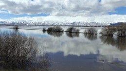 Ardahan’da karların erimesi sonucu Kura Nehri taştı