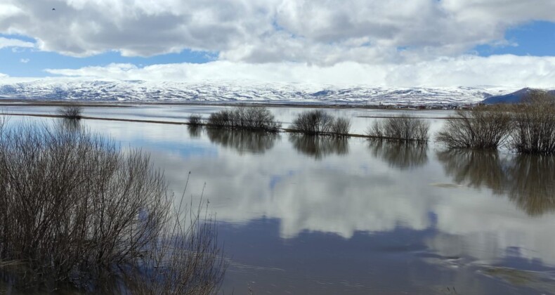 Ardahan’da karların erimesi sonucu Kura Nehri taştı