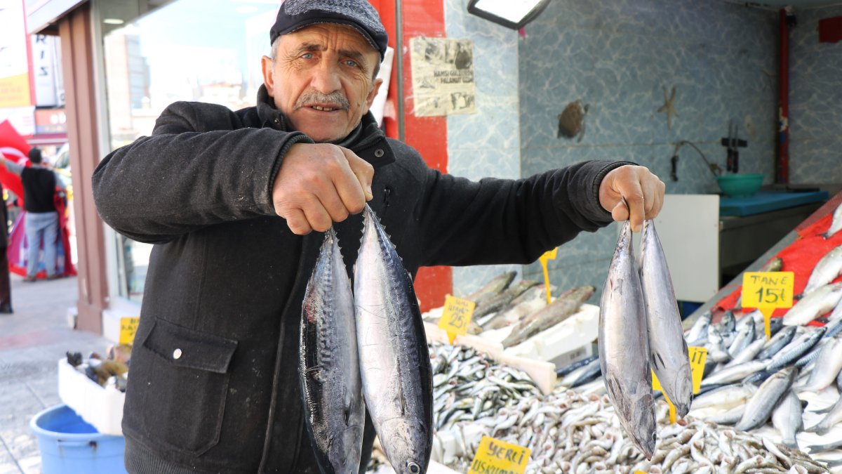 Balık sezonun son balıklarının fiyatları düştü