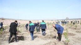 Büyükşehir, baharın gelmesi ile fidan dikimine başladı