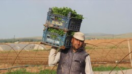 Çiftçilere ‘destek ödemesi’ müjdesi