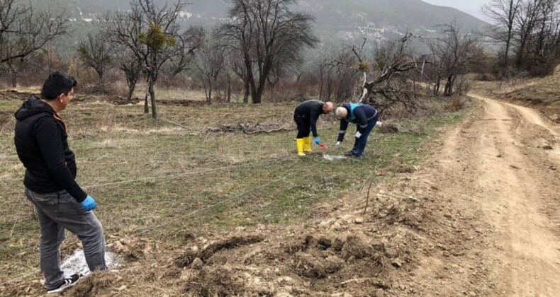 Kütahya’da küreci cinsi elma alanları çoğaltılıyor