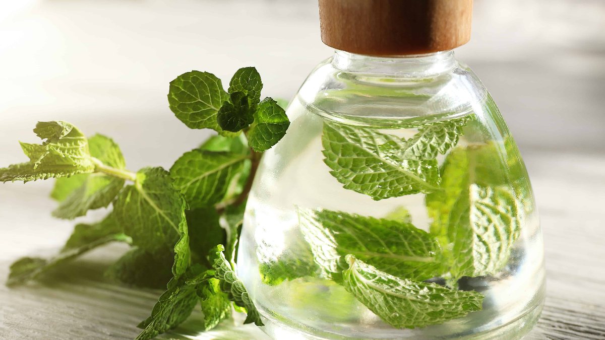 O ağrıdan eser kalmayacak! Şakaklara birer damla sürüp ovalayın…