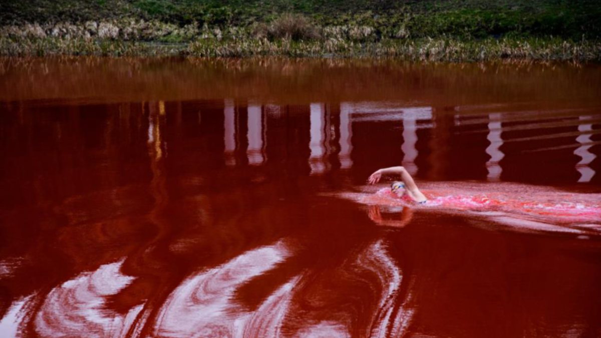 Ruta Meilutyte, Rusya’yı protesto için kırmızıya boyadığı gölette yüzdü