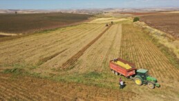 Tarımda en yüksek ilk çeyrek dış satımı yaşandı