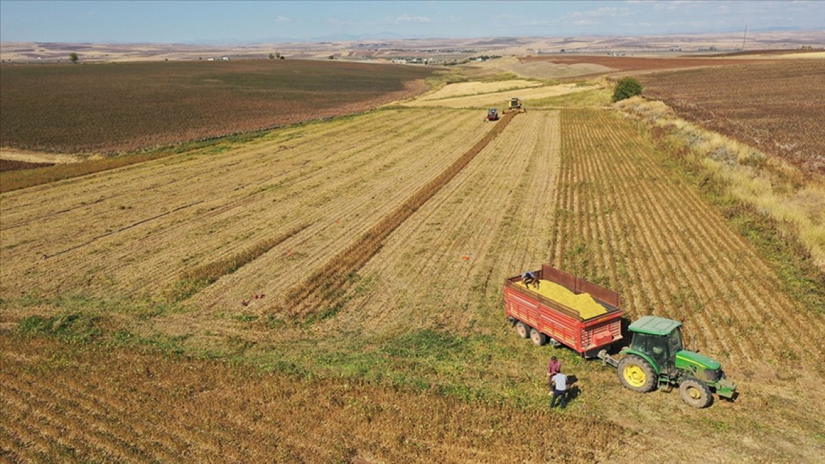 Tarımda en yüksek ilk çeyrek dış satımı yaşandı
