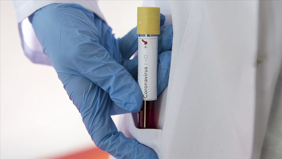 Tevfik Özlü: Mutaston, koronavirüsü azalttı