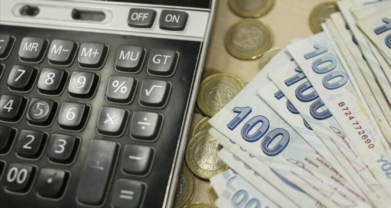 Türkiye’deki vergi mükelleflerinin sayıları arttı