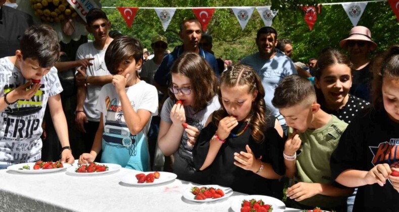 Altınova’da çilek tadında festival