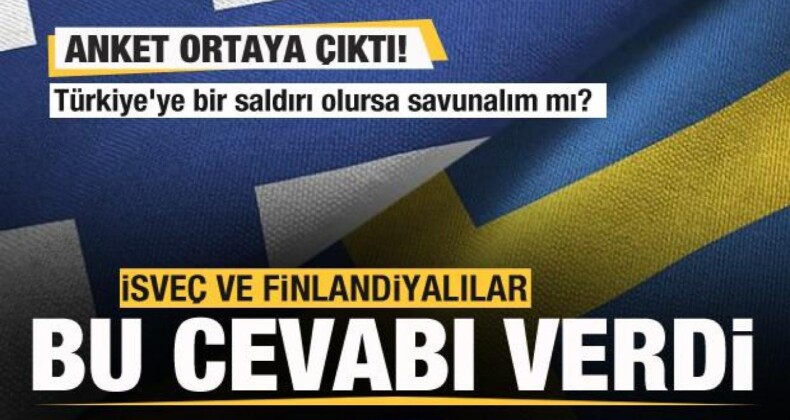 Anket ortaya çıktı! İsveç ve Finlandiyalılar cevapladı! Türkiye’ye saldırı olursa…