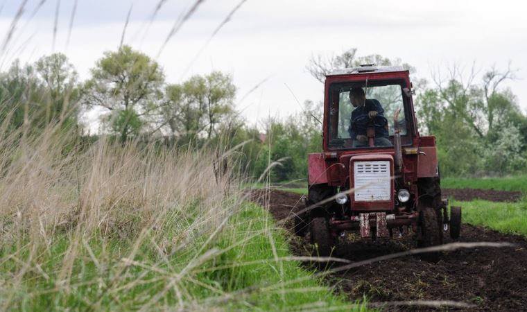 BM: Ukrayna’daki savaş gelecek aylarda küresel gıda krizine yol açabilir