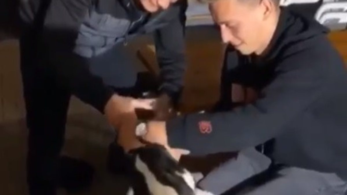 Bursa’da köpeğe alkol içirdiler