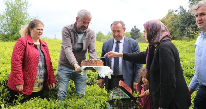 ÇAYKUR yaş çay alım kampanyasını başlattı