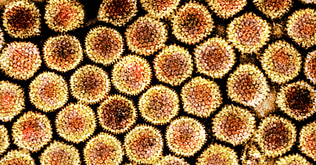 Çocuklarda Olağandışı Hepatit Vakaları Hakkında Bilim İnsanlarının Bildikleri