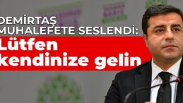 Demirtaş muhalefete seslendi: Lütfen kendinize gelin