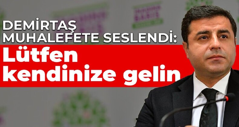 Demirtaş muhalefete seslendi: Lütfen kendinize gelin