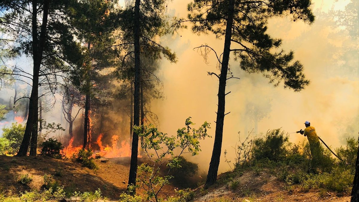 Hatay’da orman yangını çıktı