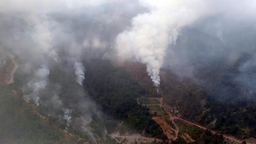 Hatay’daki orman yangınıyla ilgili 1 kişi tutuklandı