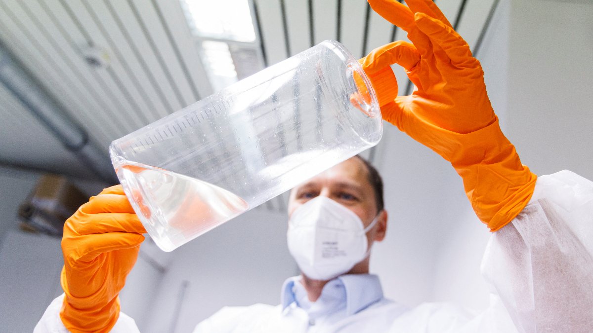 İngiltere’de evde beslenen hayvanlarla ilgili maymun çiçeği uyarısı