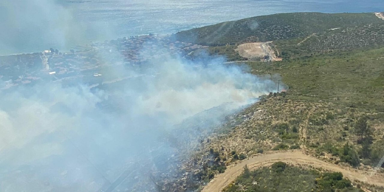 İzmir’de orman yangını