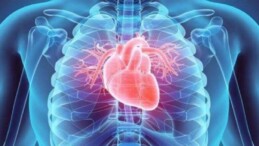 Kalp hastaları dikkat! Uzmanından ‘sıcak hava’ uyarısı