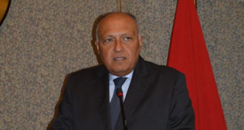 Mısır Dışişleri Bakanı Şukri, GKRY’li mevkidaşı Kasoulides ile görüştü