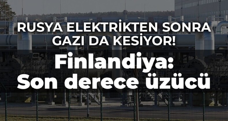 Rusya elektrikten sonra gazı da kesiyor! Finlandiya: Son derece üzücü