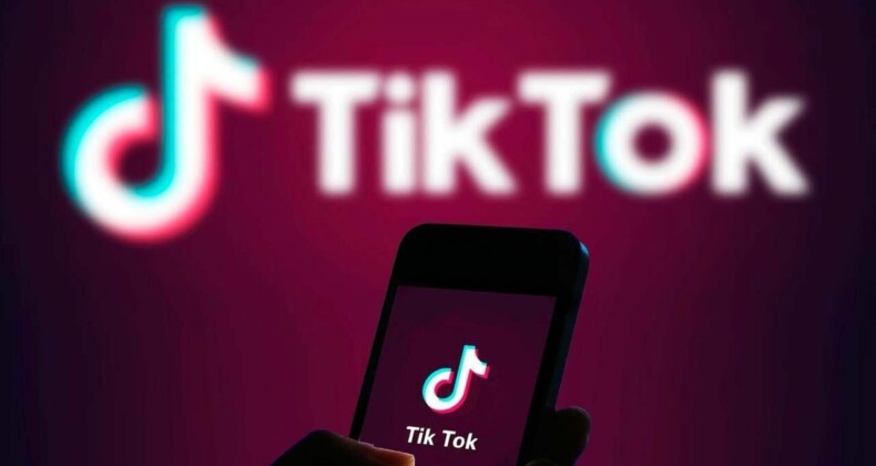 TikTok’ta yeni özellik: TikTok Pulse!