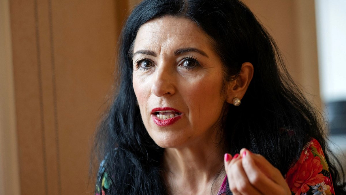 Amineh Kakabaveh, Türkiye ile anlaşan İsveç’e tepki gösterdi