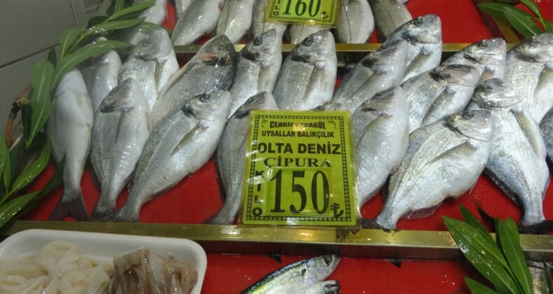 Çanakkale’de balık fiyatları arttı