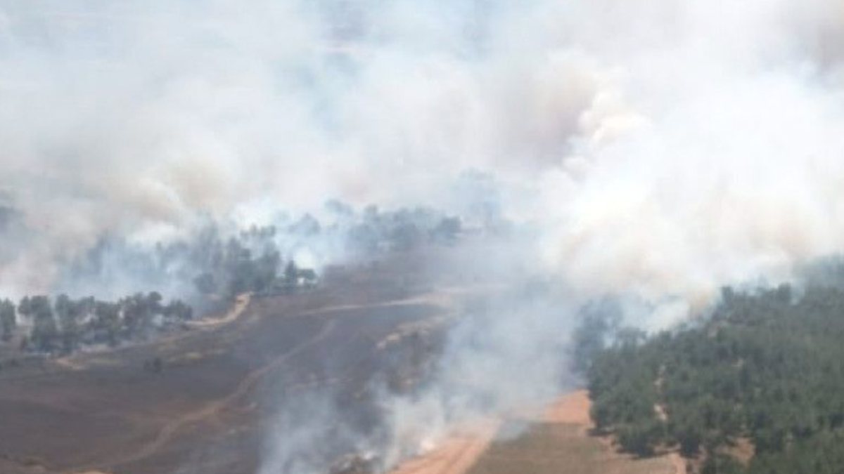 Çanakkale’de orman yangını