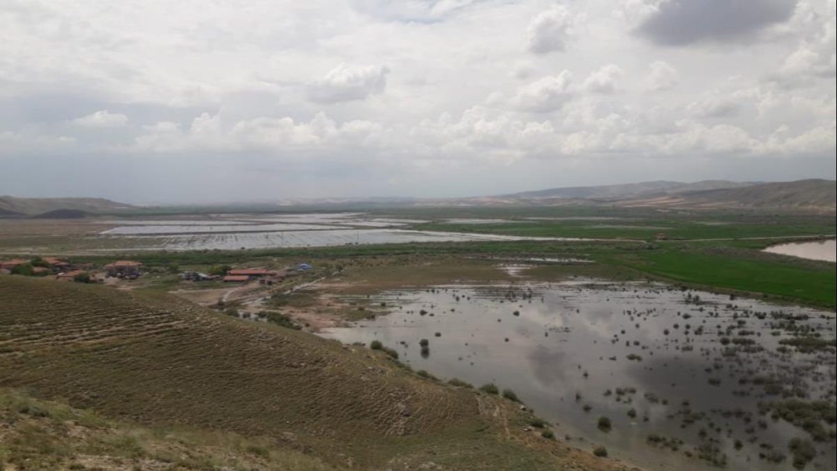 Çorum’da sağanak yağış tarım arazilerini vurdu