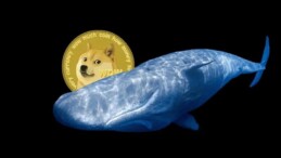 DOGE, LUNA, APE ve Bu 12 Altcoin’e Dikkat: İşte Sıcak Haberler!