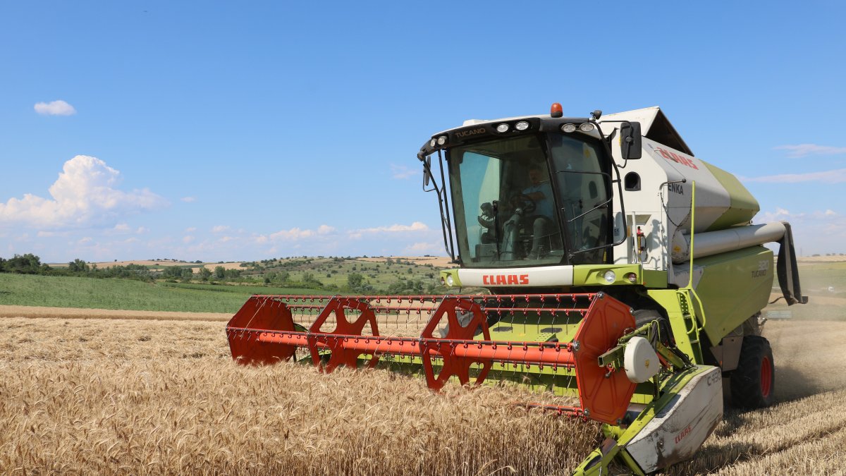 Edirne’de buğday hasadı devam ediyor