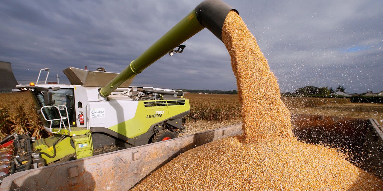 Erdoğan buğday-arpa alım fiyatını belirledi