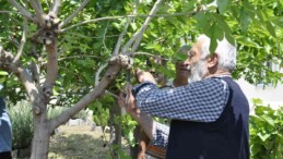 Eskişehir’de ipekböcekçiliği yaygınlaşıyor