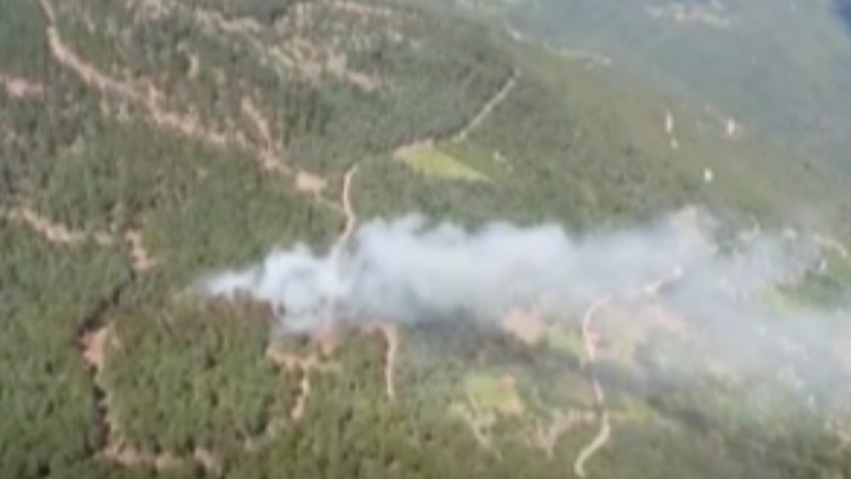 İzmir’de korkutan orman yangını