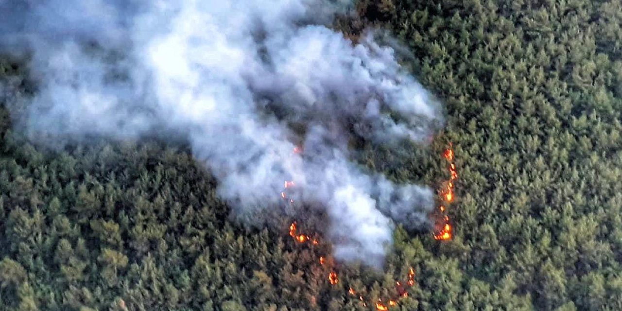İzmir’de orman yangını