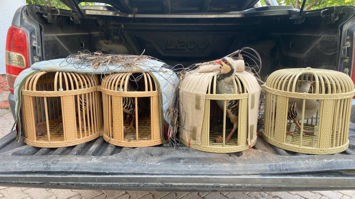 Kahramanmaraş’ta keklik avlarken yakalandılar