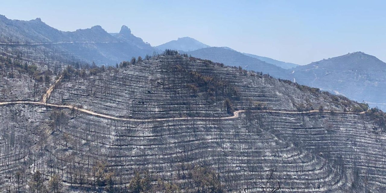 Kıbrıs küle döndü: Yangınlara müdahale sürüyor